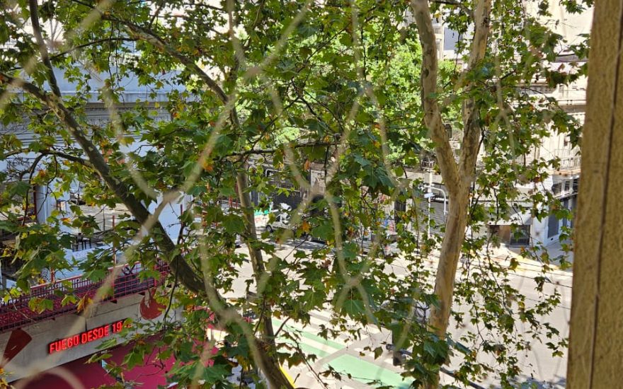 ALQUILER – ALMAGRO – 2 AMBIENTES – Billinghurst y Av. Corrientes