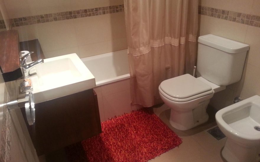 ALQUILER AMOBLADO – PALERMO – 1 AMBIENTE DIVIDIDO – Oro y Charcas