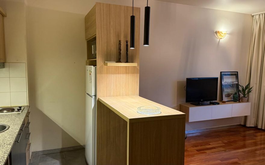 ALQUILER AMOBLADO – PALERMO – 1 AMBIENTE – Mansilla y Sc. Ortiz – Libre 1 de Abril